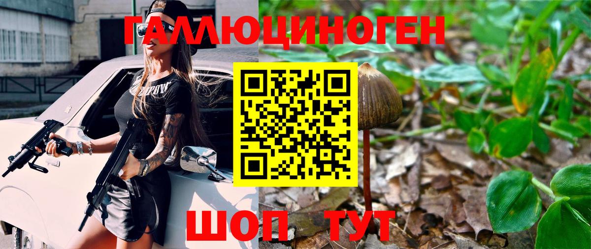 Галлюциногенные грибы GOLDEN TEACHER  Псилоцибиновые грибы Cubensis  Вход с VPN  Пушкино 